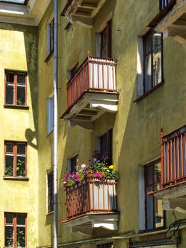 Flowers on a balcony