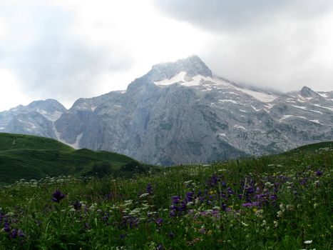 Reserve, Spring, Chief, caucasian, spine, peaks, mountain, forest, distance