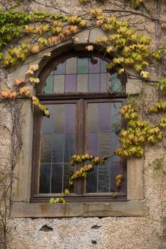 Stained glass window in old house  with Virginia creeper on the wall