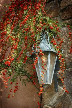 Lamplight at a winery in Napa Valley, California