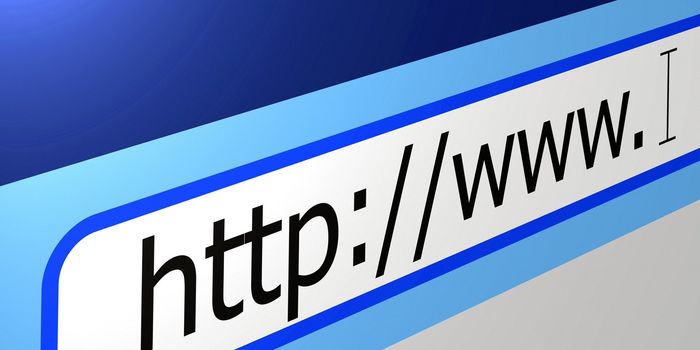 Detail of World wide web browser address line