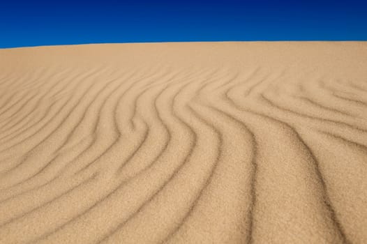 Image of a wind swept sand dune leading up to blue sky