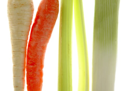 Varied vegetables in a row, turnip, carrot, leek, thistle