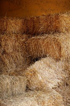 Golden straw barn stacked on the farm