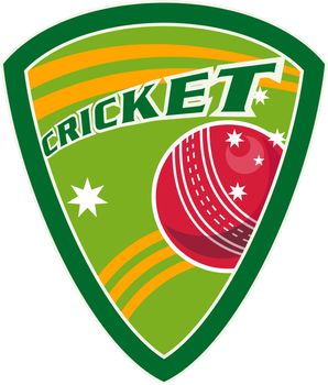 illustration of a cricket sport ball inside shield with stars and words "cricket"