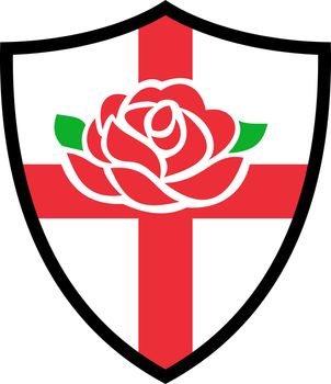 Illustration of a red English rose with flag of England inside shield