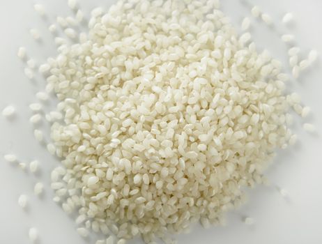 White rice close up texture. Background pattern of rice seeds from Spain