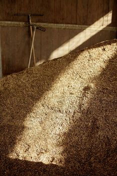 Oat cereal image. Oats barn winth light beam and rake tools