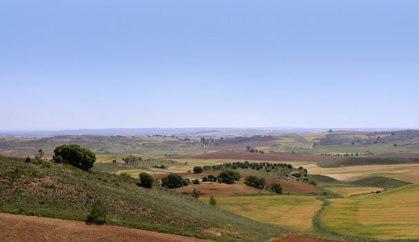 Golden and green cereal fields landscapes in Spain