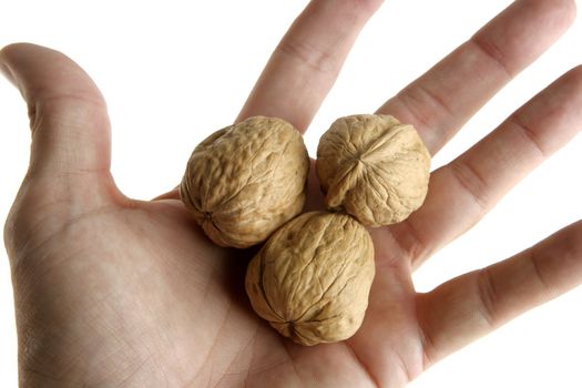 Human hand holding three walnut nuts over white background