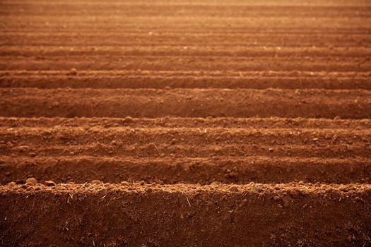 Ploughed red clay soil agriculture fields ready to sow