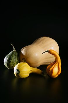 Varied colorful pumpkin still over black background