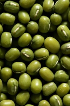 Green soya beans macro texture crop background detail