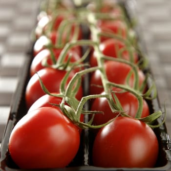 Red tomatoes branch un a black plastic box over brown tablecloth