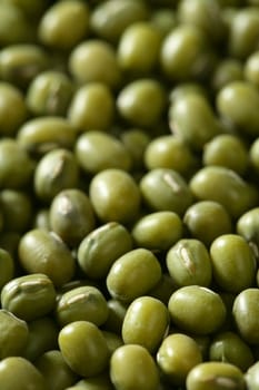 Green soya beans macro texture crop background detail