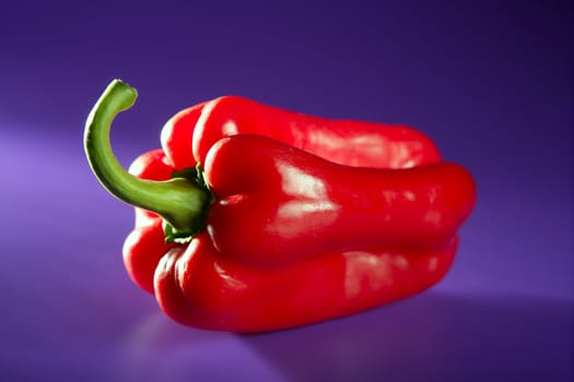 Red macro pepper close up over purple background