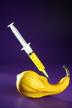 Bio food research metaphor yellow pumpkin and syringe