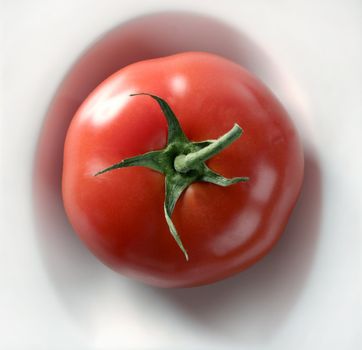 One simple red tomato in white dish. Bird point of view