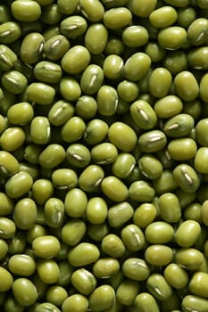 Green soya beans macro texture crop background detail