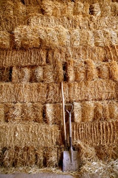 Straw golden bale barn stacked, shovel and rake tools