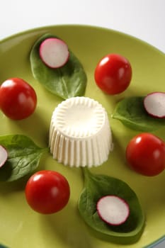 Salad in green dish with tomato, radish and fresh cheese