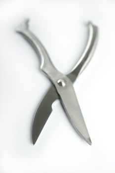Chicken carving stainless steel scissors. Professional kitchen utility