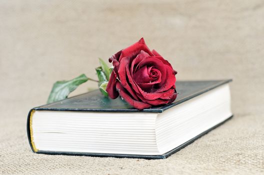 a book covered with a red rose