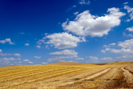 a rural landscape