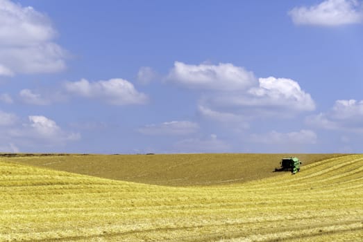 a rural landscape in summer