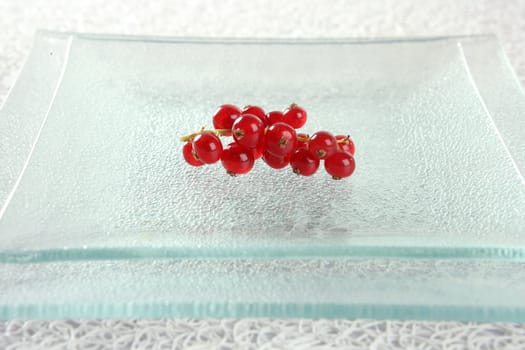 Redcurrant in square transparent glass dish