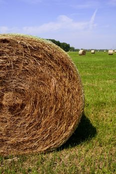 Golden Straw Hay Bales in american countryside on sunny day