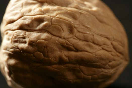 One walnut with shells over black background and shadows