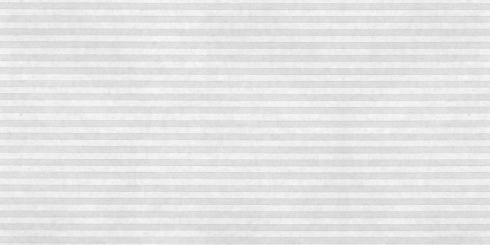 Blank sheet of a vintage computer printout