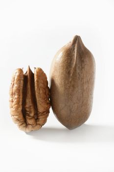 Pecan nut fruit and shell isolated over white studio background