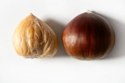 Chestnut isolated macro over white studio background