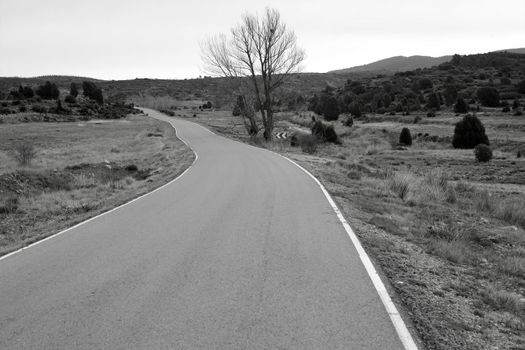 Lonely black and white landscape with road