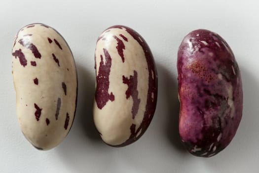 Dried beans macro at studio white background