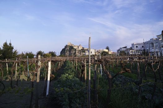 ITALY, Campania, Ischia island, Ischia Ponte, aragon fortress