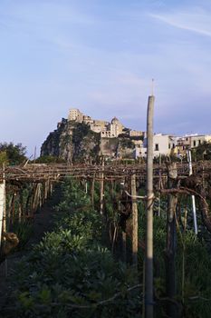 ITALY, Campania, Ischia island, Ischia Ponte, aragon fortress