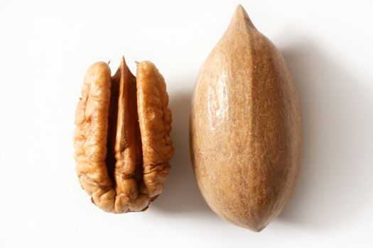 Pecan nut fruit and shell isolated over white studio background