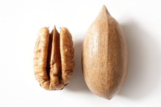 Pecan nut fruit and shell isolated over white studio background