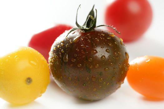 Little cherry varied multi color tomatoes, at studio, white background