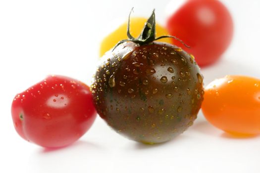 Little cherry varied multi color tomatoes, at studio, white background