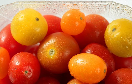 Little cherry varied multi color tomatoes, at studio, white background