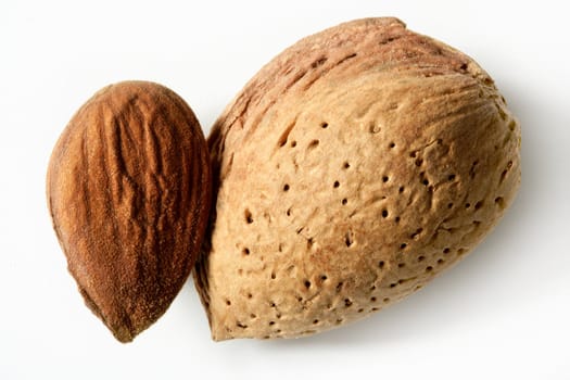 Almond macro image over white background, studio shot