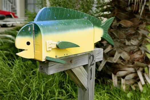 Fun artistic mail box with fish color and shape