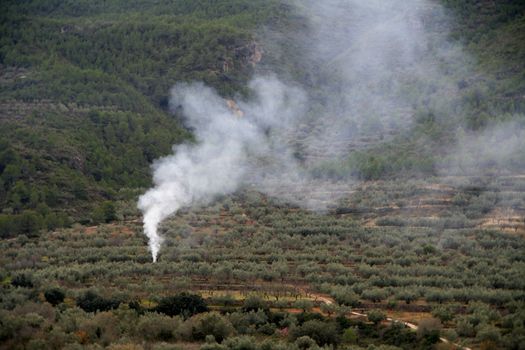 Begining of a fire, smoke in the fields of Spain