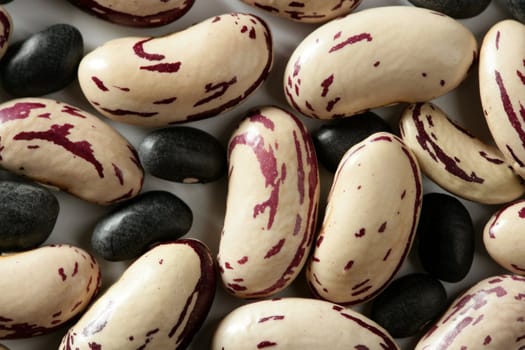 Dried beans macro at studio white background