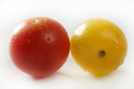 Little cherry varied multi color tomatoes, at studio, white background