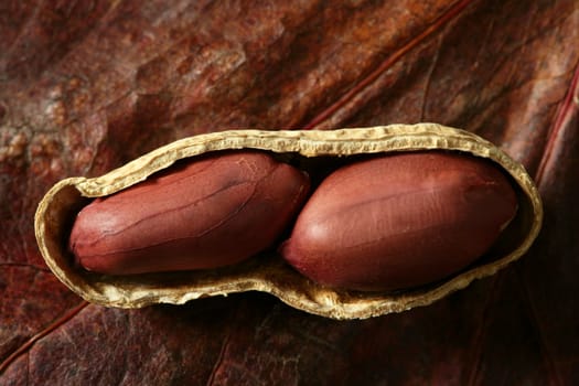 Peanuts macro over warm wood background